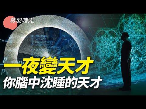 私密：[ID: 41uLeMJfP2E] Youtube Automatic