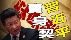 [ID: bE4vE3mVQLw] Youtube Automatic