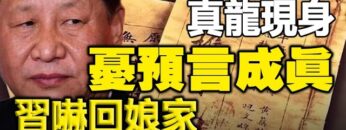 [ID: FjFF-XU6MYU] Youtube Automatic