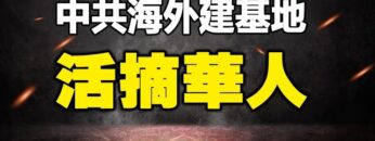 [ID: T-f5aNyM50k] Youtube Automatic