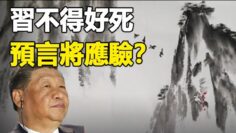 [ID: tJ-ul3fK6XU] Youtube Automatic