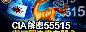 [ID: -rVcx79RhkM] Youtube Automatic