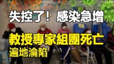 [ID: UDVA1VapPO4] Youtube Automatic