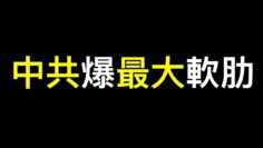 [ID: lu-hZ6Iptjg] Youtube Automatic