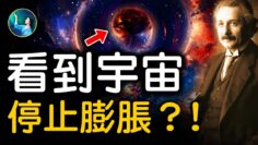 [ID: lcl6E1zk0lk] Youtube Automatic