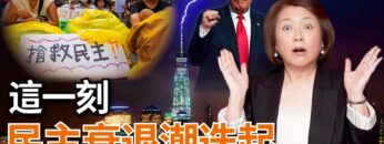 [ID: louzgD2_Ff4] Youtube Automatic