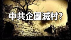 [ID: zyKwYQtA6UE] Youtube Automatic