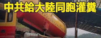 [ID: q9SbeUtgnT4] Youtube Automatic