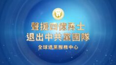 私密：[ID: wvMOVPKosHE] Youtube Automatic