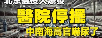 [ID: 4I4GKYR1_O4] Youtube Automatic