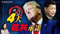 [ID: 6kpBUg41iSQ] Youtube Automatic