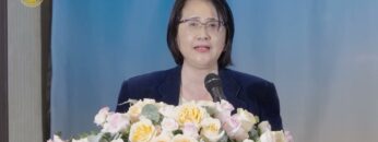 [ID: gamGSPzdZXA] Youtube Automatic