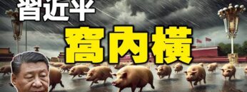 [ID: xSmDoo3SOLk] Youtube Automatic