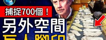 [ID: 0Kk-ci9KP5Y] Youtube Automatic