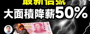 私密：[ID: Mb_4yW7hGzk] Youtube Automatic