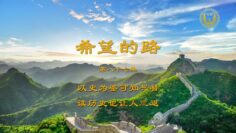 [ID: xRXPCgsqcEw] Youtube Automatic