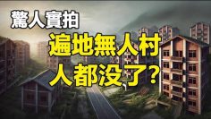 [ID: WEfTalPGIjs] Youtube Automatic