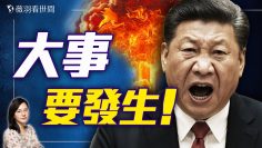 [ID: ReE9E8FWhic] Youtube Automatic