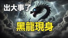 [ID: cYu9c55ROR0] Youtube Automatic