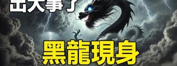 [ID: cYu9c55ROR0] Youtube Automatic