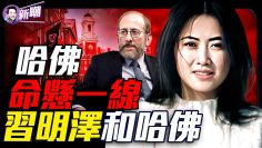 私密：[ID: Kfu2cKiRq4k] Youtube Automatic