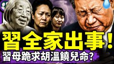 [ID: Ubls4Rpa5TU] Youtube Automatic