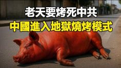 [ID: pqHeO5QGIk0] Youtube Automatic