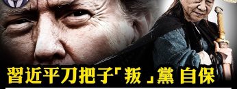 [ID: H_7sIVQ42EE] Youtube Automatic