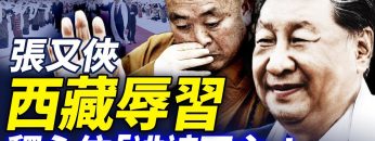 私密：[ID: _mEkSek-sxU] Youtube Automatic