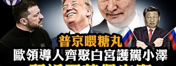 [ID: RkecsjRSJJY] Youtube Automatic