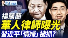 [ID: sHAe0IANO-o] Youtube Automatic