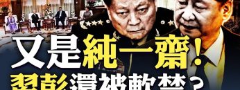 私密：[ID: WTkR1UUzMMw] Youtube Automatic