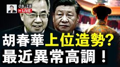 [ID: xpQZGumCFCI] Youtube Automatic