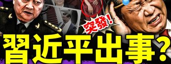 [ID: xXQ8-XOQF54] Youtube Automatic