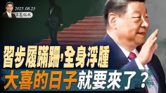 [ID: zC4RFaZX43E] Youtube Automatic