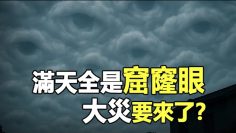 [ID: NtqDm1h26bU] Youtube Automatic