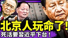 私密：[ID: r_iVYYDJc0I] Youtube Automatic