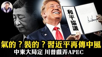 [ID: 0fqePpgMw5Q] Youtube Automatic