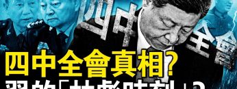 私密：[ID: 1oOUHqHlzeA] Youtube Automatic