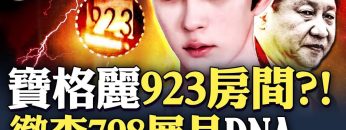 私密：[ID: dmeMvIktmYU] Youtube Automatic