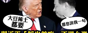 [ID: NUSyft6gx5s] Youtube Automatic