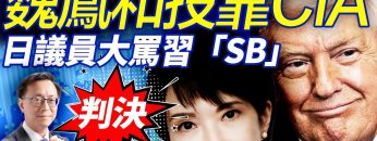 [ID: owliTvhK4s0] Youtube Automatic