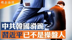 [ID: p_D04YpNOJk] Youtube Automatic