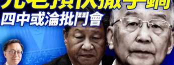 私密：[ID: PHeanrEt9yc] Youtube Automatic