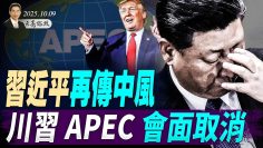 [ID: r6iyNRWKsrU] Youtube Automatic