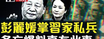 [ID: tj-6a0aVKj4] Youtube Automatic