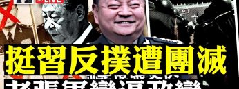 [ID: TqqI-tpUdD0] Youtube Automatic