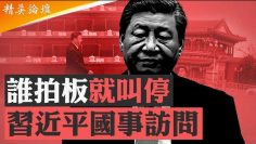 [ID: YUP2WqiM-Qo] Youtube Automatic