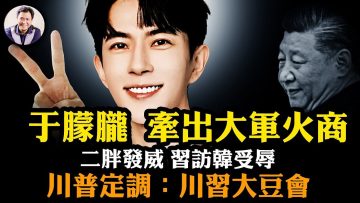 [ID: _ZFAofidVJc] Youtube Automatic