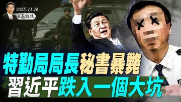 [ID: 1W5G7lqsLNQ] Youtube Automatic